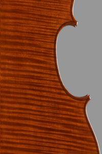 modern cello fonto punte