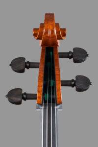 modern cello testa fronte