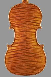 violin in ancient wood back